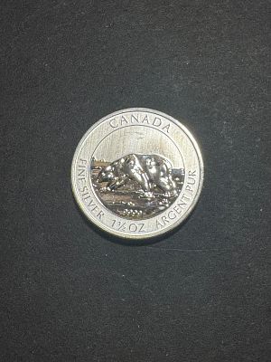 עלה כעת! מטבע אונקיה וחצי כסף 999 קנדי 2013 - כל מטבע שוקל 47.25 גרם. כסף טהור הזדמנות 