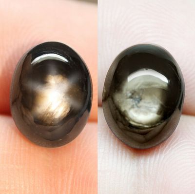 13.72Ct. Unheated Golden Black Sapphire Natural Cabochon 6Rays 100%Star 13.2x10.8 mm