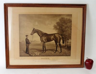 Antique French engraving of a horse, " Maximum". Antique French engraving of a horse, "Maximum." 