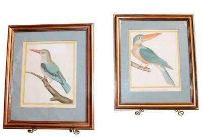 Pair of French ornithological engravings after Martinet. Early 20th century. Overall size 14 