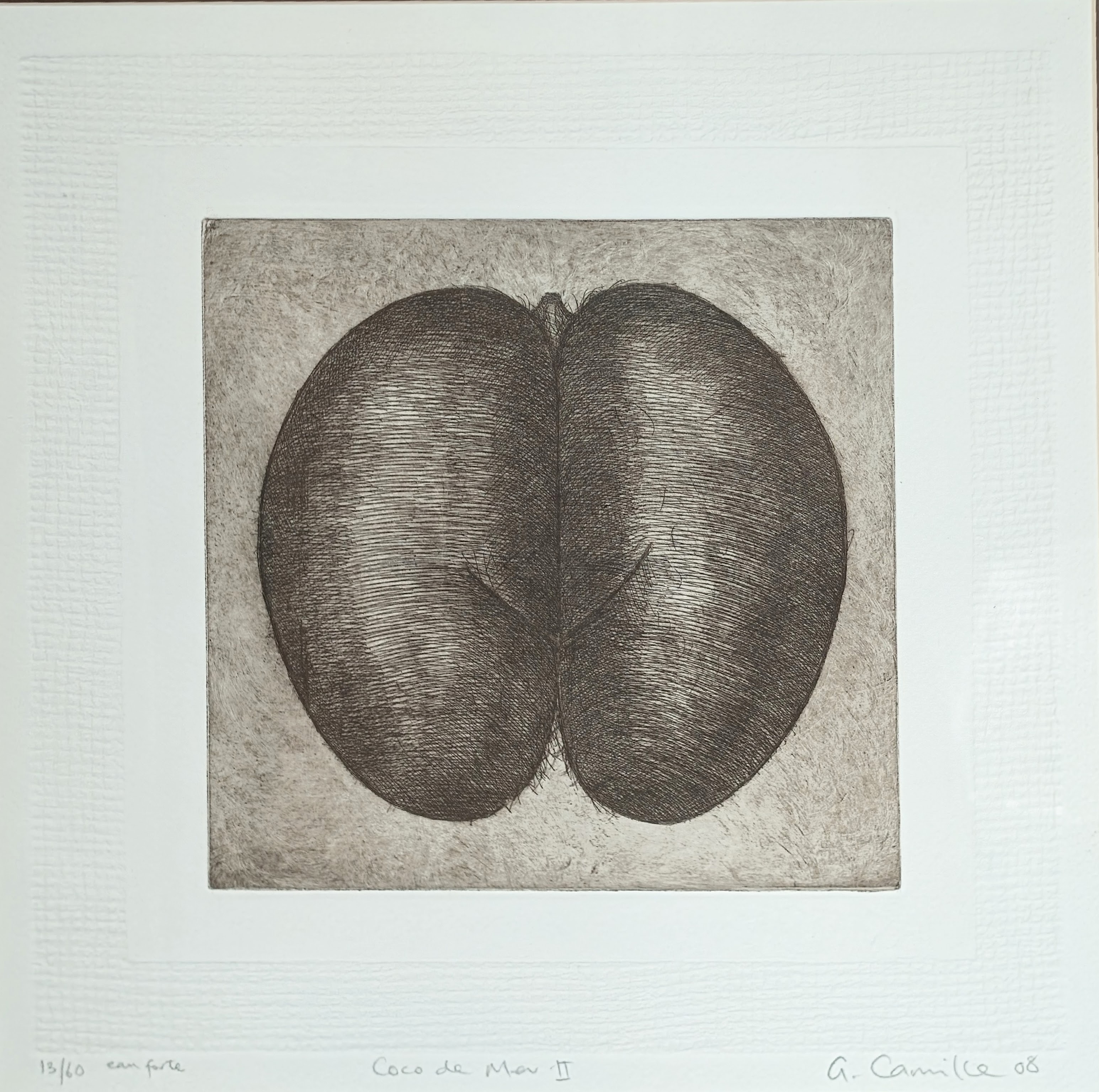 George Camille (Seychellois, b.1963), Coco de Mer II, etching, signed in pencil