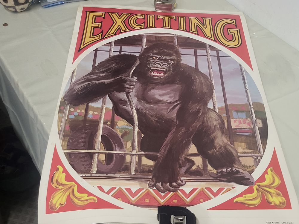 vtg kraft litho double sided gorilla circus poster. from estate collection heavy stock see pics 