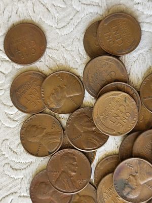 wheat pennies Lincoln cents lot of 50! . all unopened just opened tubes for pictures all 50 