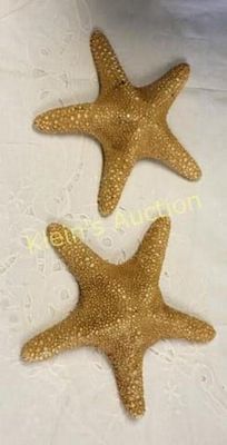 pair of genuine dried starfish 8" & 9" Nice!. from estate both are nice genuine starfish 9" and 