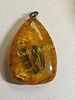 rare ammolite gemstone pendant in amber. check out the colors in this! 1 1/2" long x 1" wide Image - 1