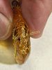 rare ammolite gemstone pendant in amber. check out the colors in this! 1 1/2" long x 1" wide Image - 2
