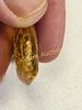 rare ammolite gemstone pendant in amber. check out the colors in this! 1 1/2" long x 1" wide Image - 3
