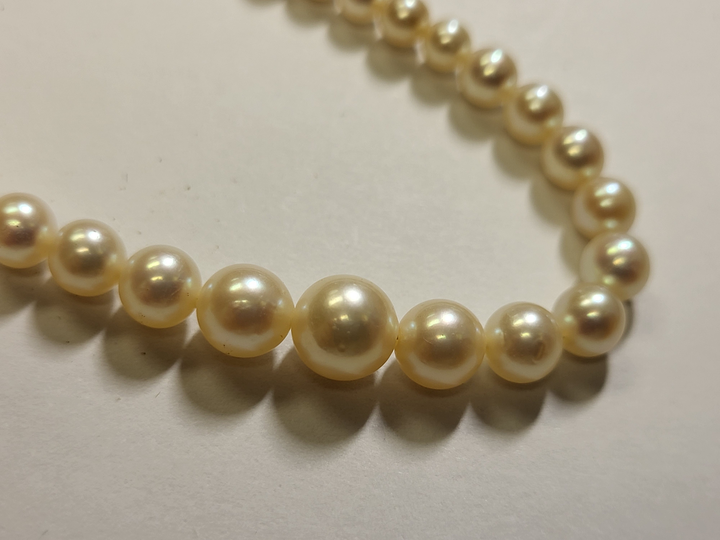 14K yellow Ruby clasp pearl necklace 17"