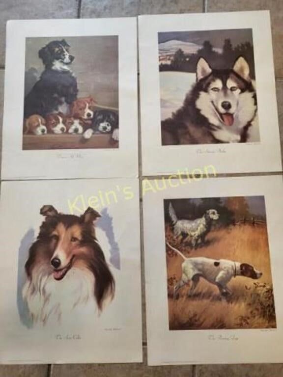 Lot 5459