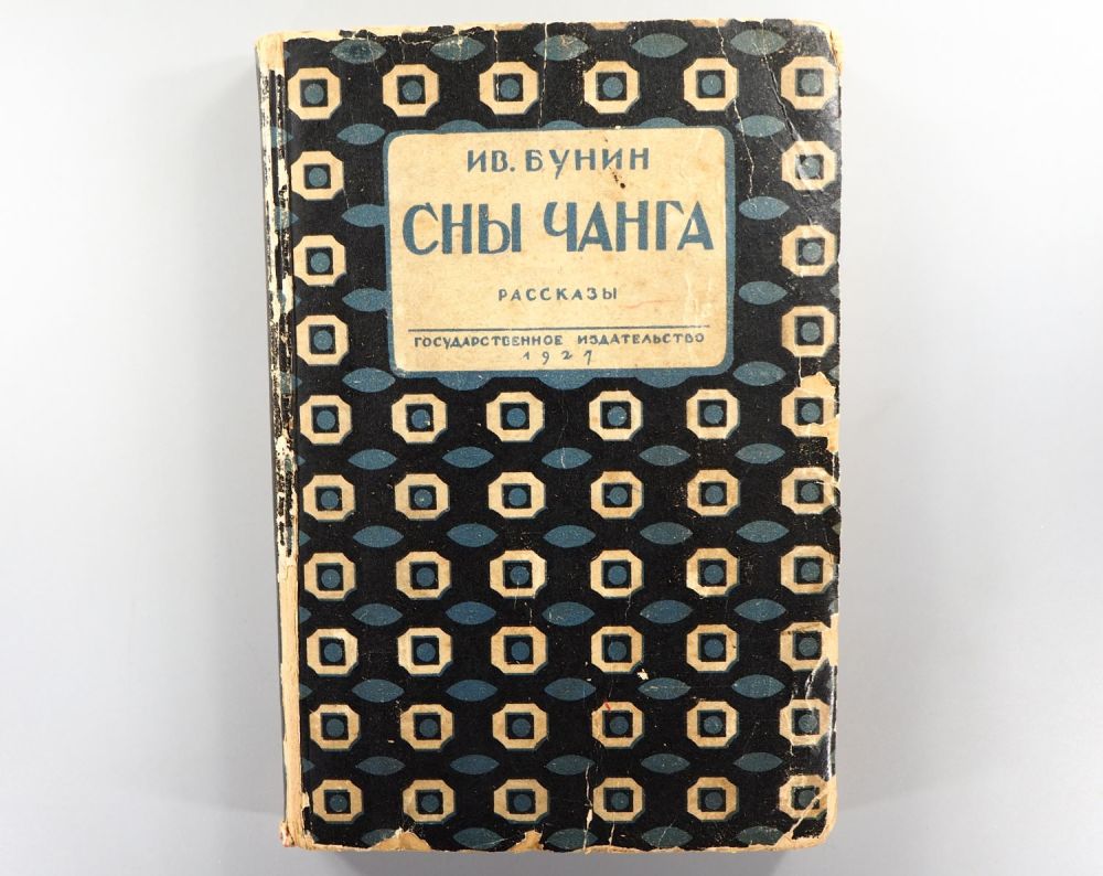 бунин сны. бунин сны чанга анализ. сны чанга читательский дневник. бунин сны чанга иллюстрации. бунин иван алексеевич сны чанга.