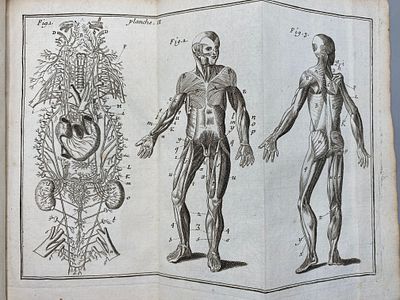 [1735, гравюры] Анатомия Гейстера, с опытами по физике об употреблении частей человеческого 