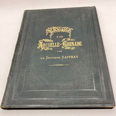 [1869г., Увелич.форм.] Путешествие в Новую Гранаду — Доктор Саффре
[Voyage &agrave; la 