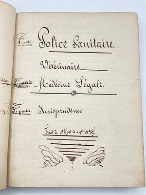 [Рукописный конволют, 1855] ПОЛИЦИЯ САНИТАРНАЯ / ВЕТЕРИНАРИЯ / МЕДИЦИНА ЛЕГАЛЬНАЯ / 