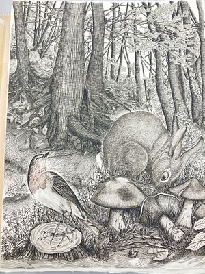 [Библиоф.изд., Гравюры] Песни леса — Жорж-Луи Леклерк де Бюффон
[Les Chants de la For&ecirc;t — 