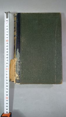 "Энциклопедический словарь", Ф. А. Брокгауз, И. А. Эфрон, т. 14, 1895 г.