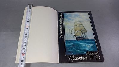 Прокофьев Н.Д. Заветный художник. Издание в мягкой обложке, скрепка, незначительные следы 