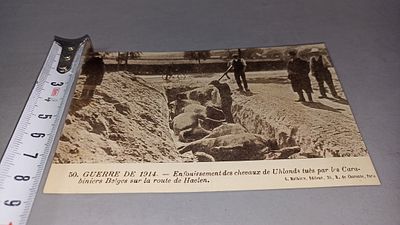 Первая мировая война. Захоронение убитых лошадей на дороге Хаэлен. Paris: G. Mahieue, Editeur 