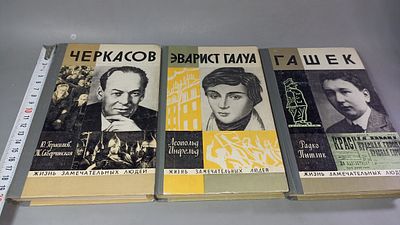 Ю. Герасимов, Ж. Скверчинская; Леопольд Инфельд; Радко Пытлик. Черкасов. Эварист Галуа. Гашек 