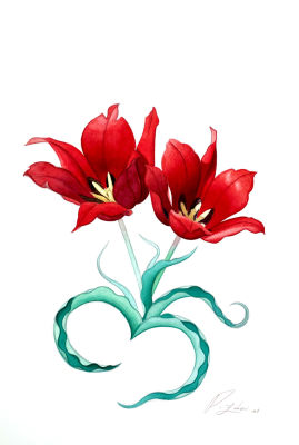 דניאל צוברי - ׳׳צבעוני המדבר׳׳ 2021. אקוורל על נייר (ללא מסגרת) 
45/30 ס׳׳מ 
חתום 
קוקו 