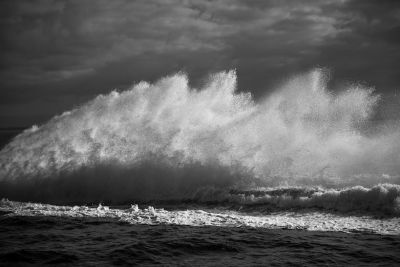 שני אבני - ׳׳שירת הים׳׳ 2021. צילום ממוספר וממוסגר 
31/45 ס׳׳מ 
חתום 
לראשונה בקוקו ובכלל - הצלמת 