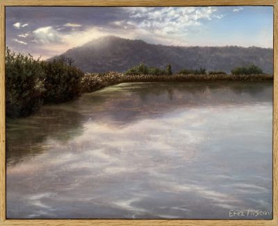 ארז פליסקוב - ''רגע לפני רדת החשכה'' 2022. שמן על עץ ממוסגר 
25/20 
חתום 
קוקו נרגשת להציג בפניכם 