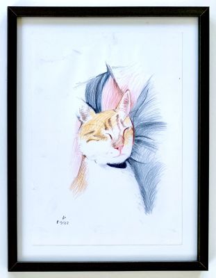 יובל ישראלי - ׳׳חתול ישן׳׳ 2022. עפרונות על נייר ממוסגר 
21/30 ס׳׳מ (ממוסגר 28/37 ס׳׳מ) 
חתום 