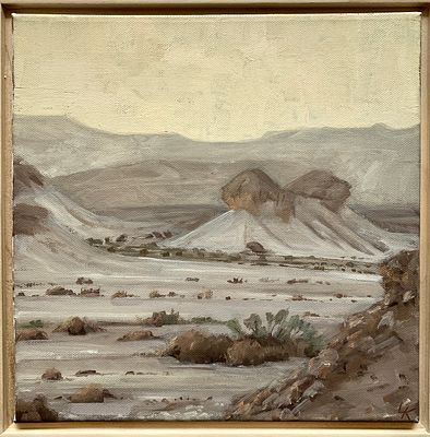 ליזה קריג - "סלע הפטריה באור זהב" 2025. חלק מנחל צופר, צילום מהצוק של צוקים, בשעת הזהב, אור אחרון 