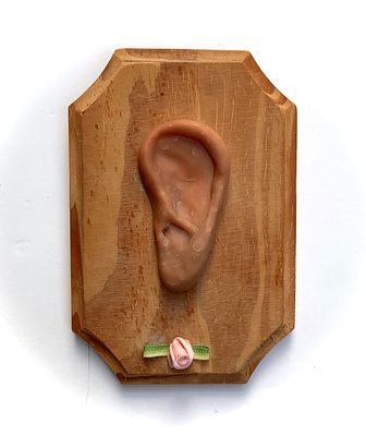 אמן לא ידוע - ׳׳אוזן׳׳ 2014. העבודה מציגה אוזן כיחידת פיסול מבודדת, מוצבת על לוח עץ כמו אובייקט 
