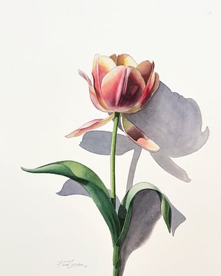 דניאל צוברי - ׳׳נשימה של אביב׳׳ 2026. אקוורל על נייר ממוסגר 
41/33 ס׳׳מ (מסגרת 51/45 ס׳׳מ) 
חתום 