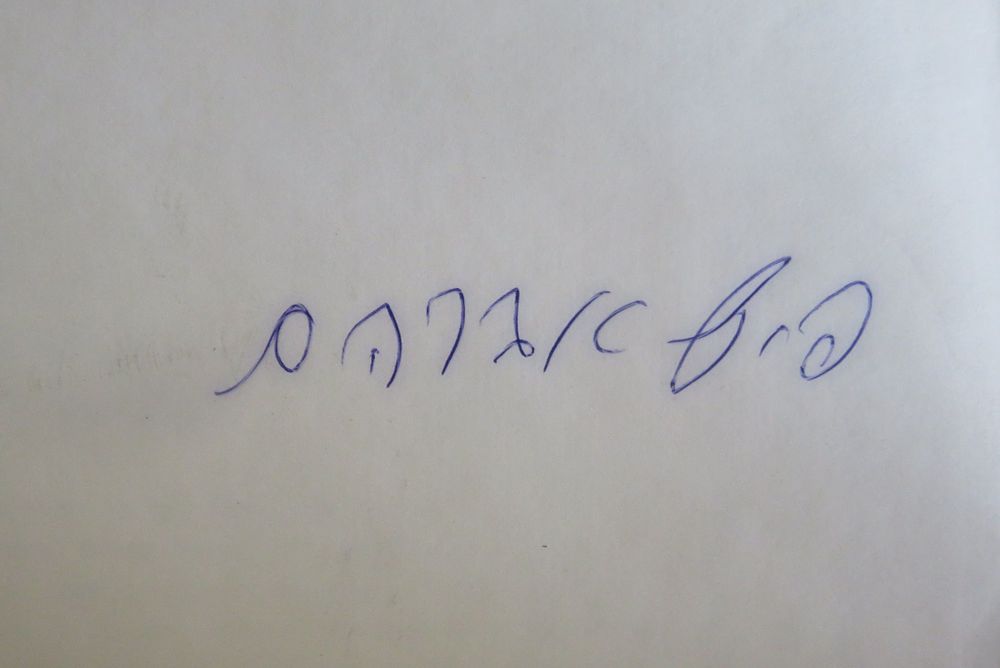 כרכא | מכירה  18 | מכירת חורף. חתימות הצדיק הנסתר רבי אברהם פיש