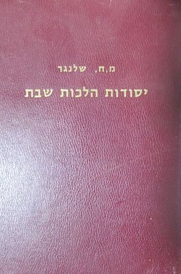 יסודות הלכות שבת הרב משה חיים שלנגר