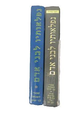 נפלאותיו לבני אדם סיפורי השגחה פרטית שני כרכים