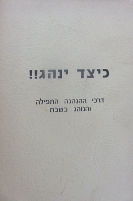 כיצד ינהג
דרכי ההנהגה התפילה והנוהג בשבת