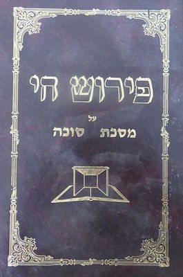 פרוש חי על מסכת סוכה
ציורים הסבר על מסכת סוכה