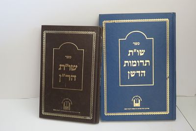 שו"ת תרומת הדשן / שו"ת הר"ן
