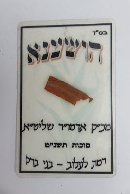 הושענא חבוטה סגולה להרבה דברים 
הרבי מלעלוב בני ברק סוכות תשנ"ט