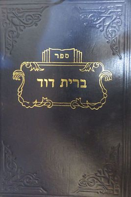 ברית דוד והוא פירוש על שולחן ערוך הלכות מילה 
ר' אברהם רייך 
ירושלים