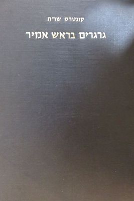 קונטרס שו"ת 
גרגרים בראש אמיר 
מאת הרב שמואל דוד הכהן מונק