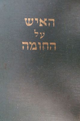 האיש על החומה 
תולדות חייו של רבי יוסף חיים זוננפלד