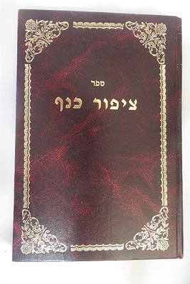 ציפור כנף 
נפלאות הבריאה המתגלים בעופות וציפורים 
הרב יואל שוורץ