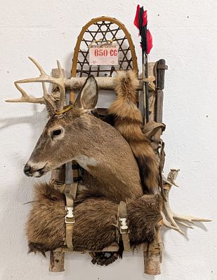 Hunters Pack Whitetail Deer Snow Show Taxidermy Display. Features a makeshift back pack made of 