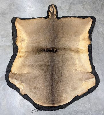 Hybrid Mule Deer / Whitetail Hide Rug on Mat. Rug is in nice condition with soft fur and a bit 