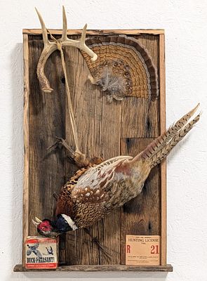 Ring Neck Pheasant Hunting Scene Taxidermy Display. Display shows a hanging pheasant with other 