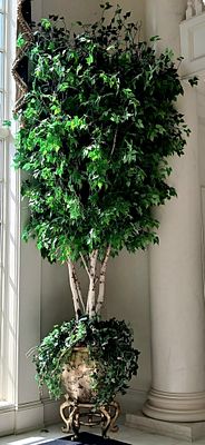 Artificial Birch Tree in a Gold-Accented Japanese-Style Porcelain Planter. Planter Features 