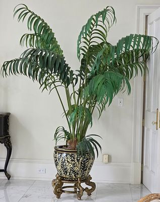 Chinese Porcelain Fishbowl Planter. Includes Planter With Faux Ferns 86" Tall x 24" Wide x 24" Deep.