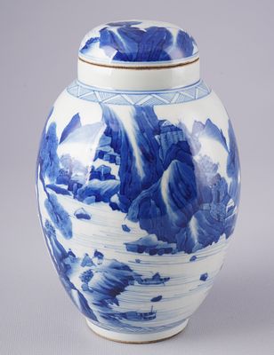 Blue and white lotus seed lidded vase, China Qing Dynasty,. Porcelain, China Qing Dynasty 