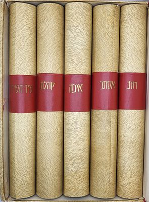 חמש מגילות מודפסות על קלף נתונים במארז מהודר