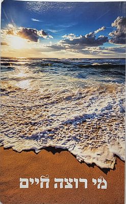 מי רוצה חיים הרב זיסלהולץ הדרך לחיים מאושרים נטולי דאגות מהדורה מיוחדת לעילוי נשמת קדושי מירון זצ"ל