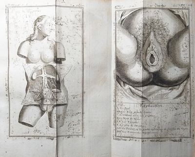 [SCIENCE AND MEDICINE] - BLONDEL Jacques (1705 - 1774) - 1737. The Imagination Of Pregnant Woman. 