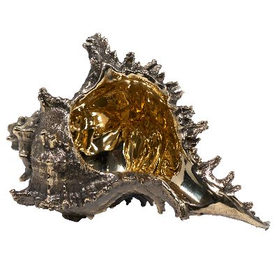 Скульптура раковина, бронза, ручная работа. Океан – это колыбель жизни, место, где зародилось 